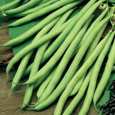 Квасоля Спаржева Ольга<br />
Вага : 20 г