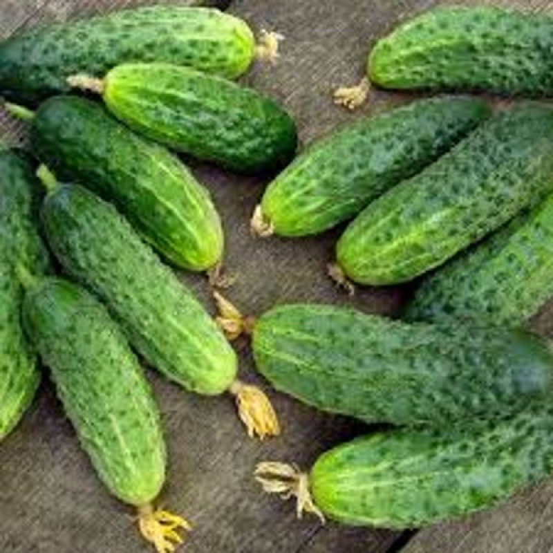 Огірок Паризький корнішон Вага : 1 г