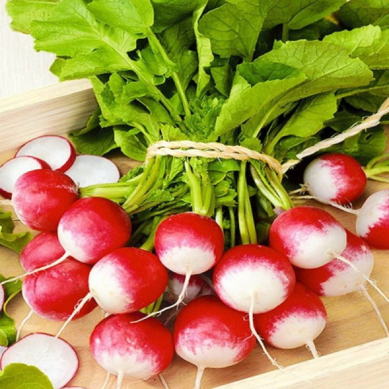 Редиска Червона з білим кінчиком Вес: 10 г