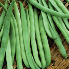 Квасоля спаржева Романо<br />
Вага : 10 г