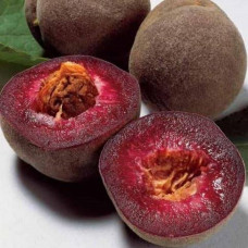 Персик Блек Бой<br />
Возраст растения : 2 года <br />
Объем : открытый корень