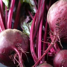 Свекла Гопак<br />
Вес : 200 шт