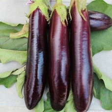 Баклажан Віолетта Лунга<br />
Вага : 0,2 г