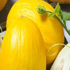 Диня Джан Канарі<br />
Вага : 10 шт