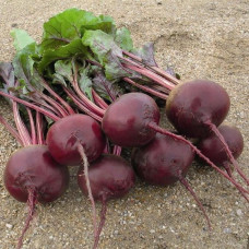 Свекла Гранатовый сок<br />
Вес : 10 г