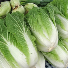 Капуста пекінська Кантонер<br />
Вага : 0,5 г