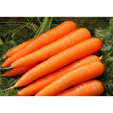 Морква Карамелька<br />
Вага : 10 г