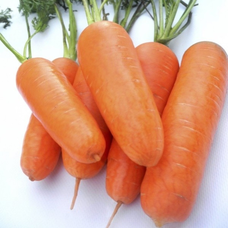 Морковь Шансон супер Вес : 2 г