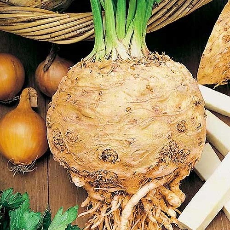 Селера коренева Празький гігант Вага : 0,5 г