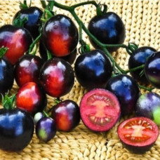 Томат Блево<br />
Вес : 0,1 г