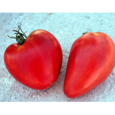 Томат Гулівер<br />
Вага : 0,1 г