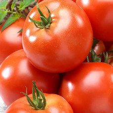 Томат Каста F1 Вага : 8 шт