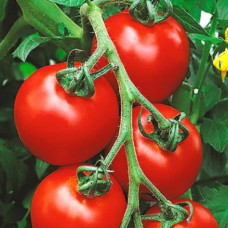 Томат Кристал F1<br />
Вага : 8 шт