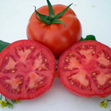 Томат Мейс F1<br />
Вага : 10 шт