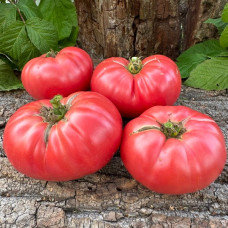 Томат Рожевий гігант<br />
Вага : 0,1 г