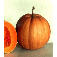 Гарбуз Гілея<br />
Вага : 10 г