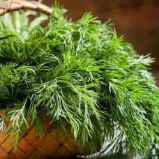 Укроп Пучок Ароматный<br />
Вес : 10 г